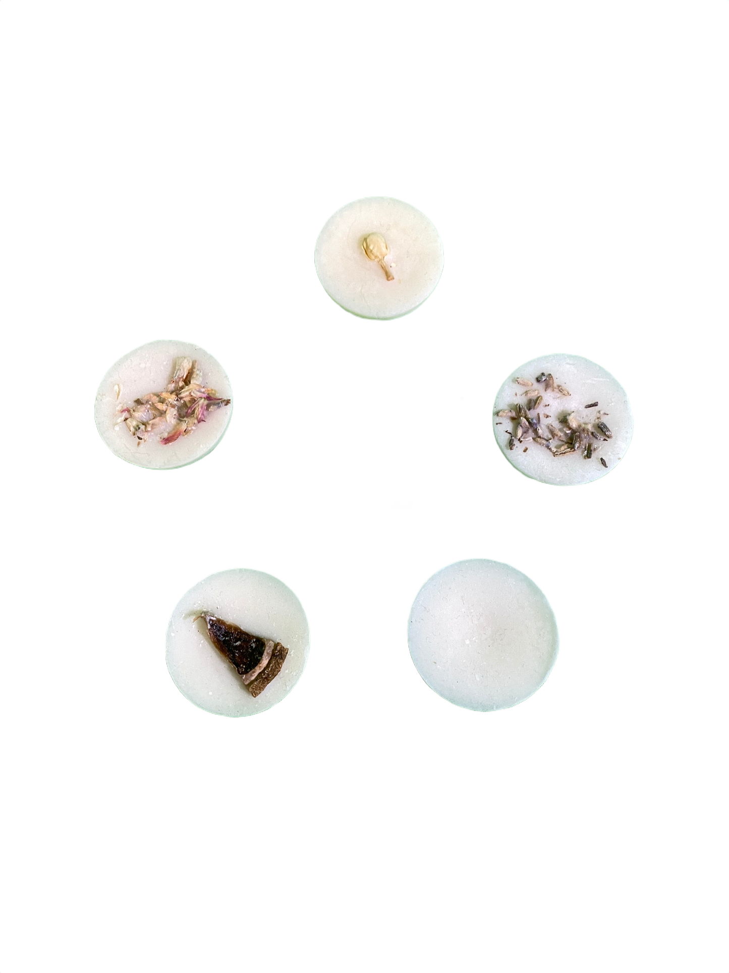 Botanical Soy Melt - Coastal Candles