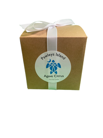 Soy - Coastal Candle
