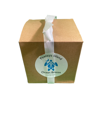 Soy - Coastal Candle