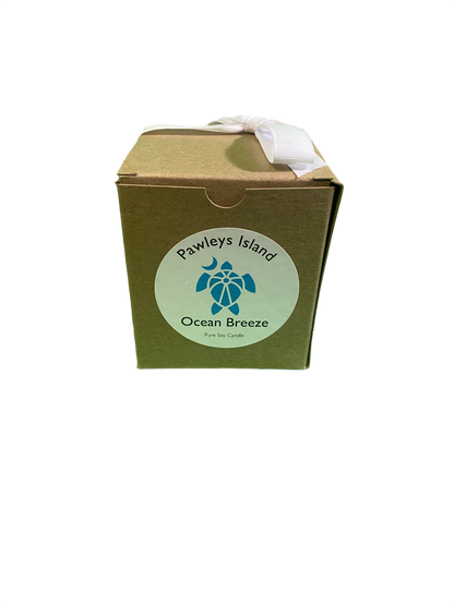 Oyster Shell Soy - Coastal Candle