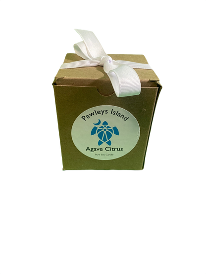 Oyster Shell Soy - Coastal Candle