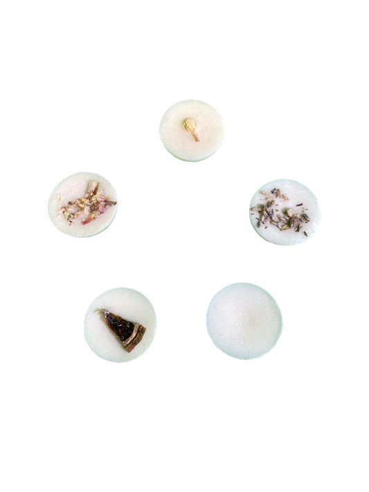 Botanical Soy Melt - Coastal Candles
